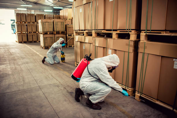Best Ant Control Services  in New York, NY