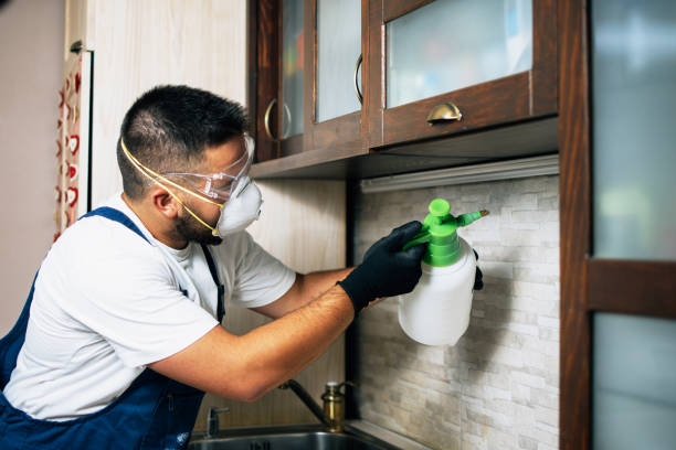 Best Emergency Pest Control  in New York, NY