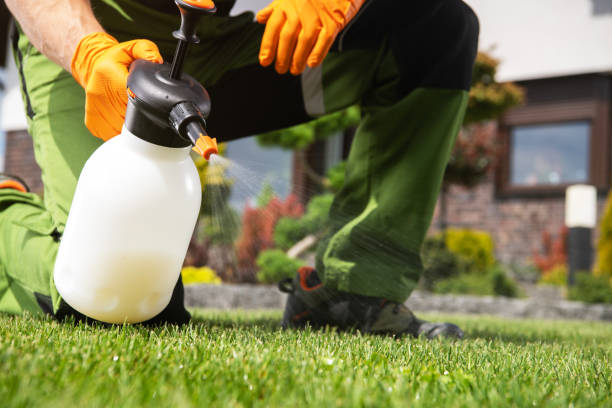 Flea Control Services in New York, NY