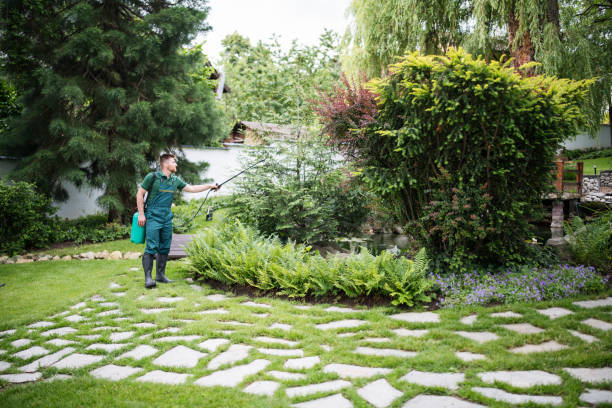 Best Pest Control Near Me in New York, NY