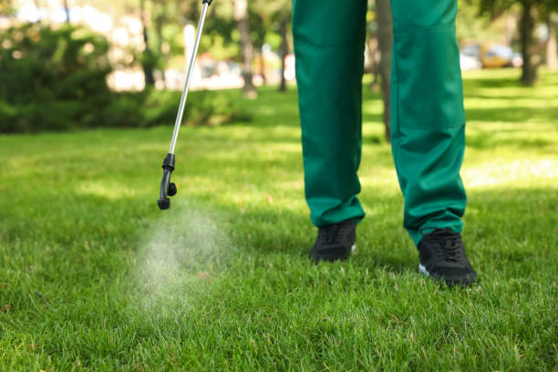 Best Termite Control Services  in New York, NY