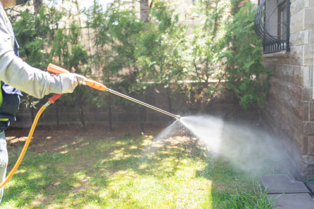 Best Mosquito Control Services  in New York, NY