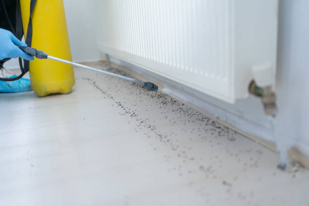 Best Emergency Pest Control  in New York, NY