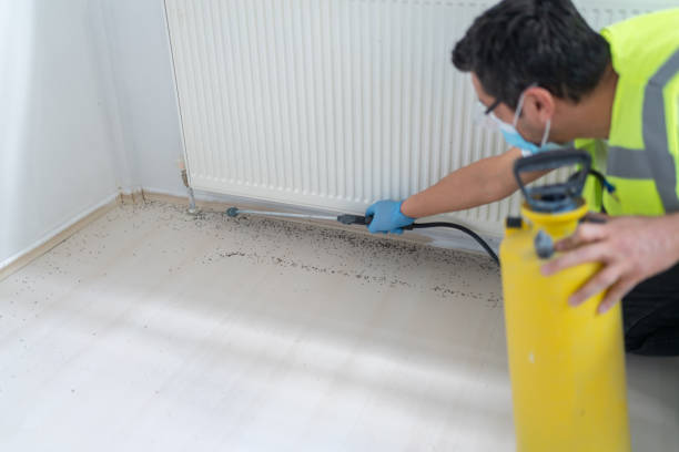 Best Affordable Pest Control Services  in New York, NY