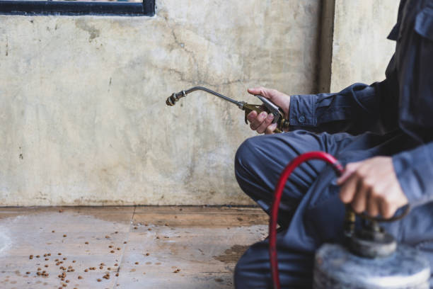 Best Pest Removal Services  in New York, NY